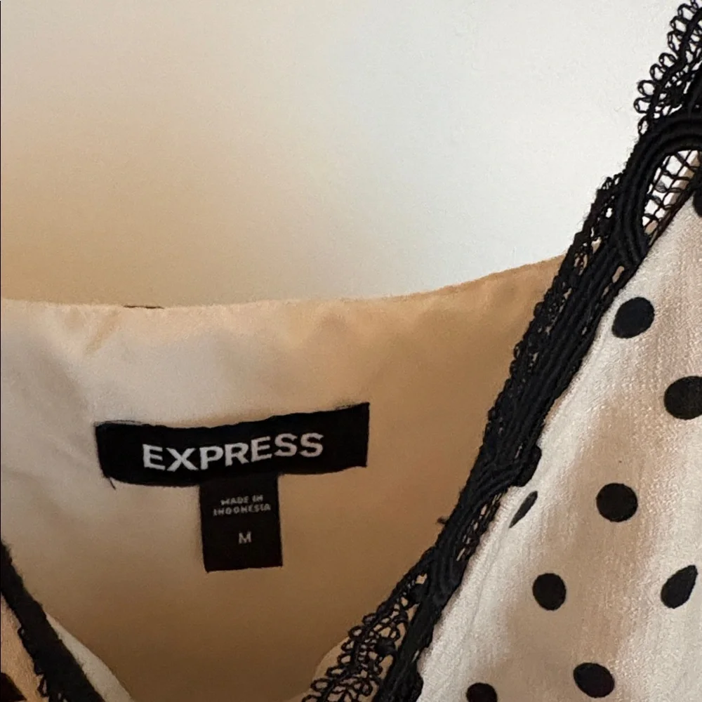 Express Dress - Picture 2 of 3